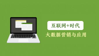 互聯(lián)網(wǎng)時代下的大數(shù)據(jù)營銷與應用 驅(qū)動銷售新變革